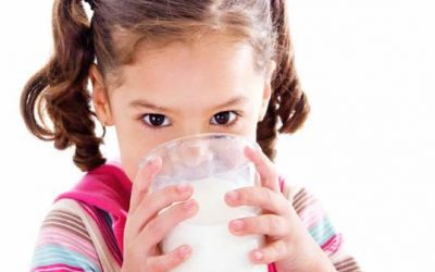 Tema de debate: el papel de la leche y los productos lácteos en la nutrición humana