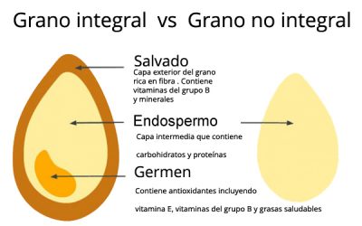 Cereales: Granos Enteros Vs Refinados