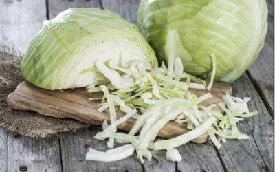 ¿Porqué consumir repollo o col?