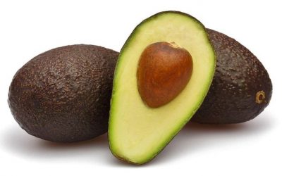 Cáscara de semilla del aguacate