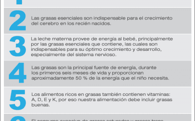 Grasas ¿Para qué son buenas?