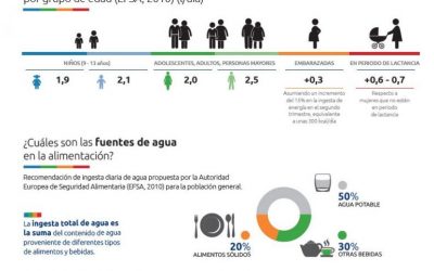 ¿Porqué es tan importante EL AGUA?