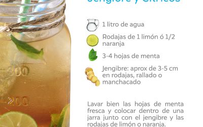 Receta de Aguas Refrescantes