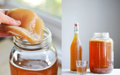Kombucha